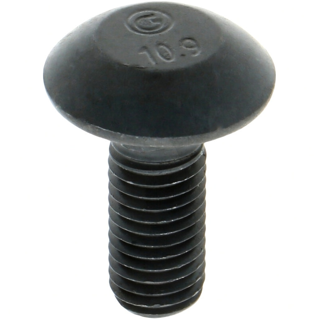 Tornillo de cabeza abombada M12 x 30, 10,9