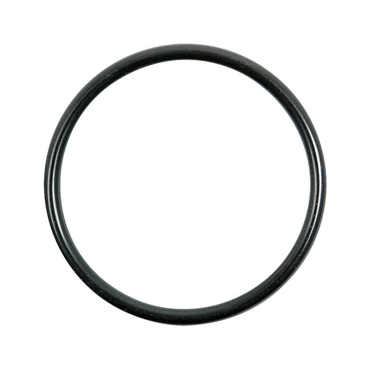 Junta Tórica Compatible AGCO Parts 366434X1